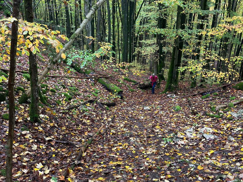 22-10-16 12-23-17 3042